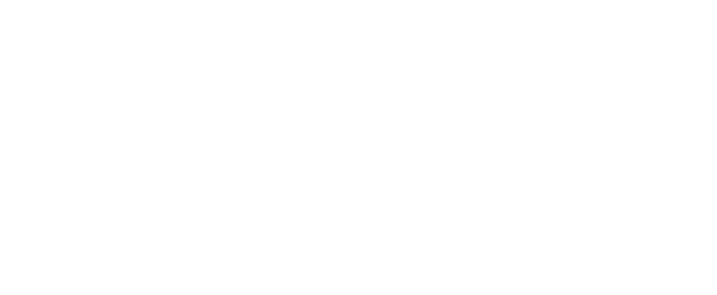 holag logo white